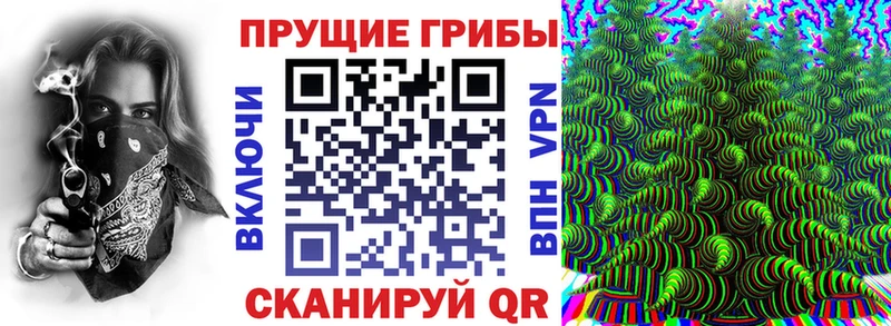 Псилоцибиновые грибы Psilocybine cubensis  Николаевск-на-Амуре 